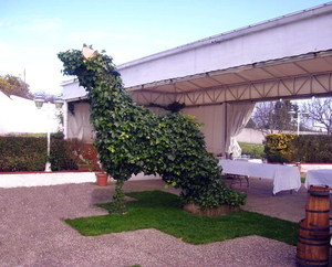 Terrazas